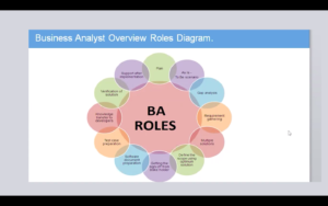 Business Analyst Overview Roles Diagram 2