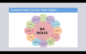 Business Analyst Roles