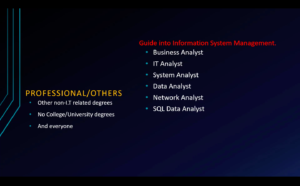 Professional / Others