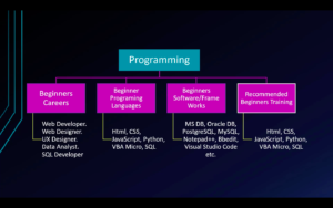 IT Programing Career Path for Beginners