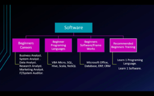 Software Career Path for Beginner