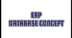 DBS ERP Database Concept
