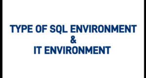 Types of SQL Environment