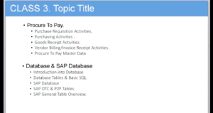 Procure to Pay / SAP Database