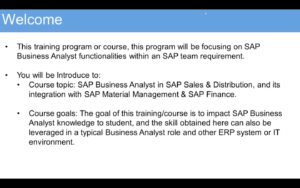 SAP Business Analyst Intro
