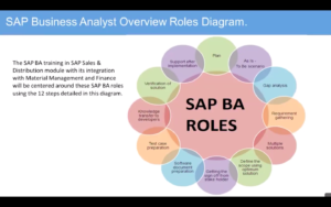 SAP  Business Analyst Overview