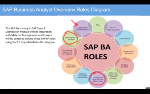 Verification of Solutions and Support Implementation